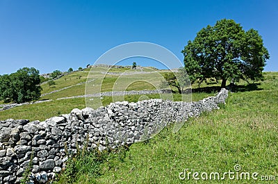 Dry stone Walls - Yorkshire Dales, England Stock Photo