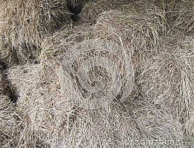 Dry straw Stock Photo