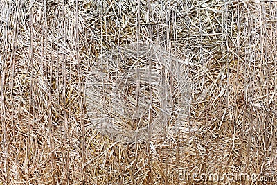 Dry straw closeup texture. Farming background Stock Photo