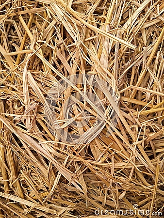 Dry straw Stock Photo