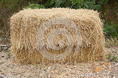 Dry straw Stock Photo