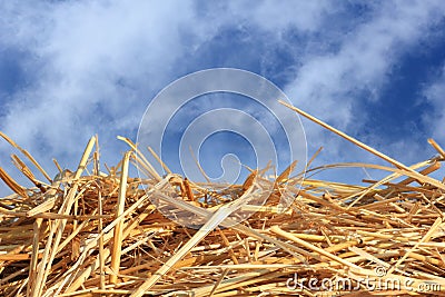 Dry straw texture Stock Photo