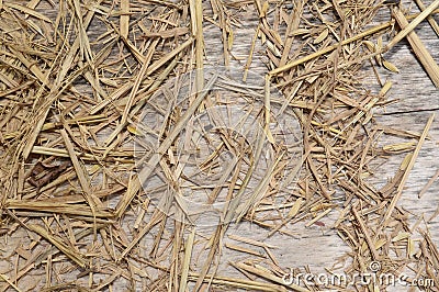 Dry straw Stock Photo