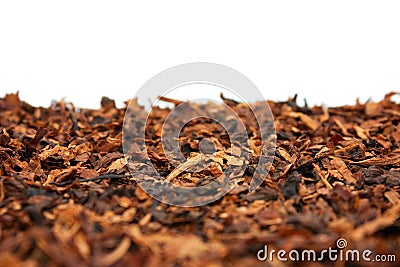 Dry tobacco Stock Photo