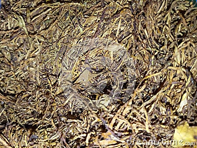 Dry tobacco ready to be enjoyed by the smokers Stock Photo