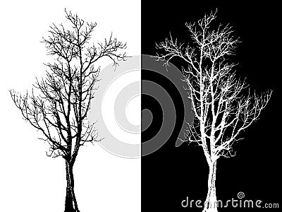 Dry tree isolated vector Vector Illustration