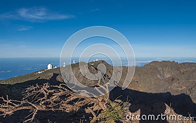 Dry tree roots at highest peak of La Palma Roque De Los Muchachos with big telescopes of Observatory at Caldera De Stock Photo