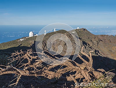 Dry tree roots at highest peak of La Palma Roque De Los Muchachos with big telescopes of Observatory at Caldera De Stock Photo