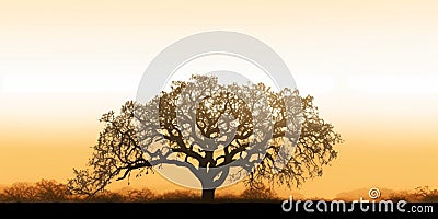 Dry tree silhouette mystery scary scene background Stock Photo