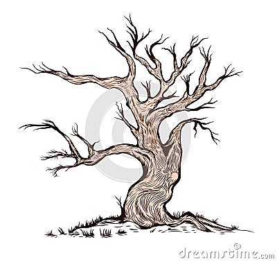 Dry Tree with Simple Color, Vector Illustration Vector Illustration