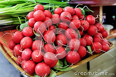 Dry tubers of red radish on the background of green onions in blur. Stock Photo