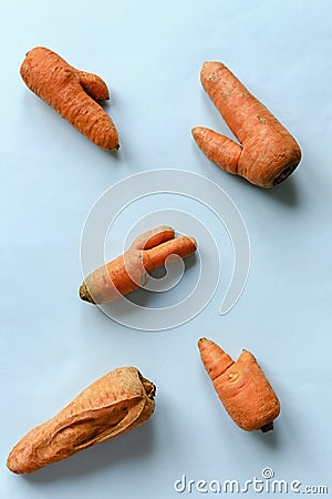 Dry and ugly carrots on blue background Stock Photo