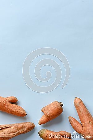 Dry and ugly carrots on blue background Stock Photo