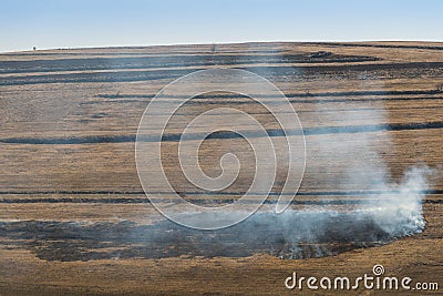 Dry vegetation on fire, negligent people burning the vegetation Stock Photo