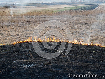 Dry vegetation on fire, negligent people burning the vegetation at springtime Stock Photo