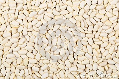 Dry white bean legumes frame filling Stock Photo