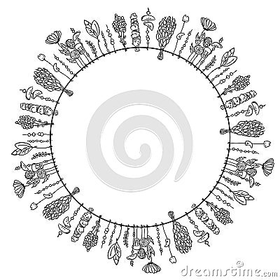 Dry witch herbs boho circle ornament. Vector isolated illlustration Vector Illustration