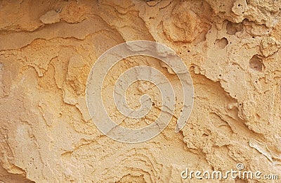 Dry yellow Texture for background Stock Photo