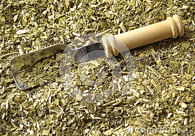 Dry yerba mate Stock Photo