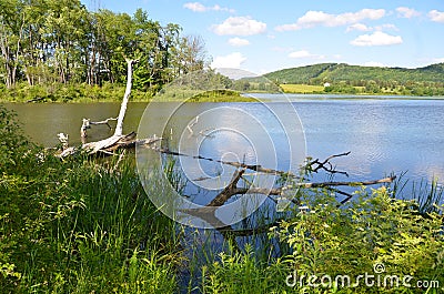 Dryden Lake in Southern Finger Lakes during summer Stock Photo