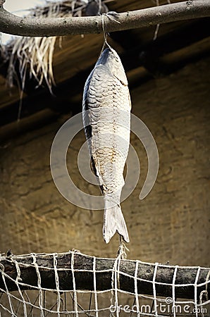 Dryed Fish Stock Photo
