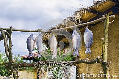 Dryed Fish at Village Stock Photo