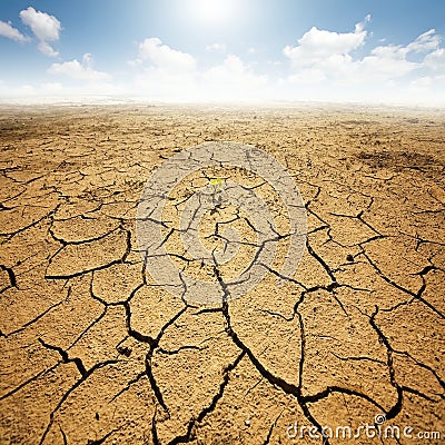 Dryed land with cracked ground Stock Photo