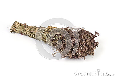 Dryed lavender bouquet on white Stock Photo