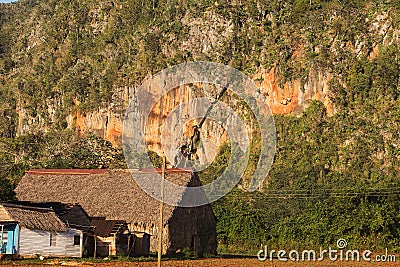 Dryer for tobacco under a mogote in the Vinales valley Stock Photo