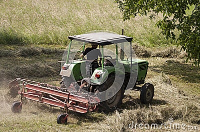 Drying hay Stock Photo