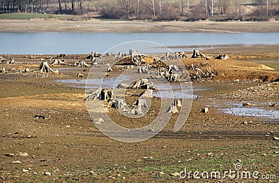 Drying pond Stock Photo