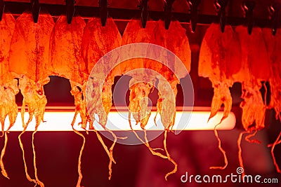 Drying squid Thailand market Stock Photo