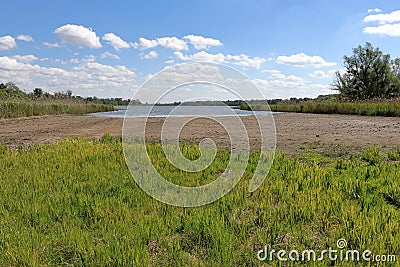 A drying up lake due to lack of water. Plants grow in the muddy bank. Stock Photo