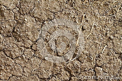 Dryland or wasteland background Stock Photo