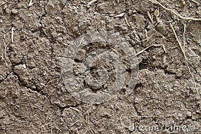 Dryland or wasteland soil Stock Photo