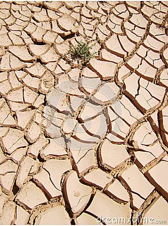 Dryness Stock Photo