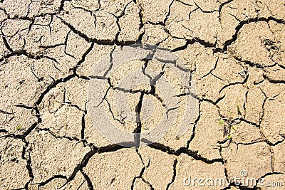 Dryness and water poverty in dry lake Stock Photo