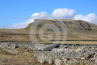 Drystone wall in view Pen-y-ghent North Yorkshire Stock Photo