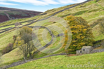 Curving drystone walls, leading to stone barn. Yorkshire Dales. Stock Photo