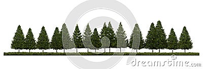 3ds rendering image of front view of pine trees on grasses field Stock Photo