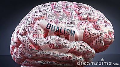 Dualism and a human brain Stock Photo