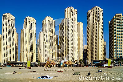 Dubai skyline with skyscrapers and camels at the beach Editorial Stock Photo