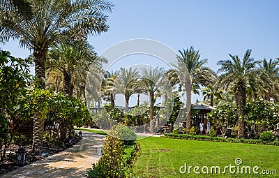 Dubai. Summer 2016. A green oasis overlooking the Four Seasons hotel Jumeirah Editorial Stock Photo