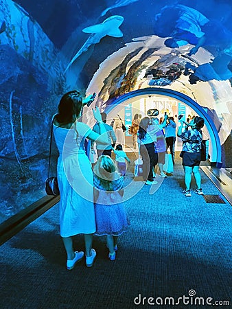 Dubai, UAE - 07.14.2022 - Visitors at Dubai aquarium attraction. Landmark Editorial Stock Photo