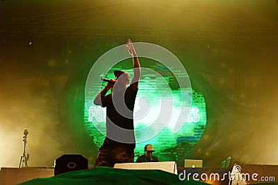 Dubstep live concert Editorial Stock Photo