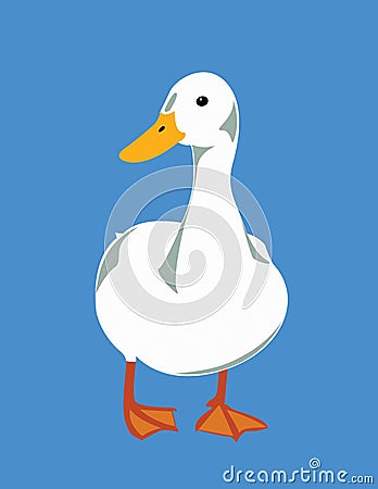 Duck Vector Illustration