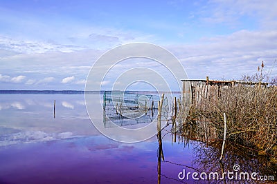 Duck bird hunting trap on blue morning sunrise waterfowl on a calm rural lake pond Stock Photo