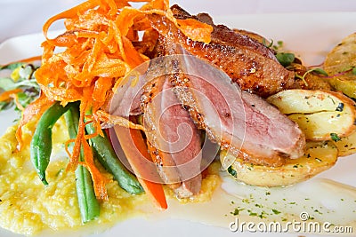 Duck Breast Dinner Stock Photo