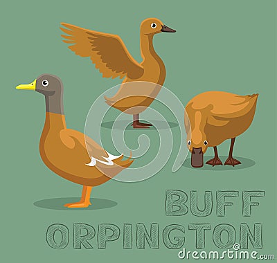 Duck Buff Orpington Cartoon Vector Illustration Vector Illustration