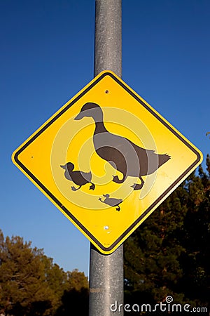 Duck crossing traffic sign Stock Photo